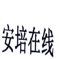 合肥朗霽軟件技術 專業(yè)計算機軟件咨詢服務解析